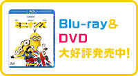 Blu-ray＆DVD 大好評発売中！